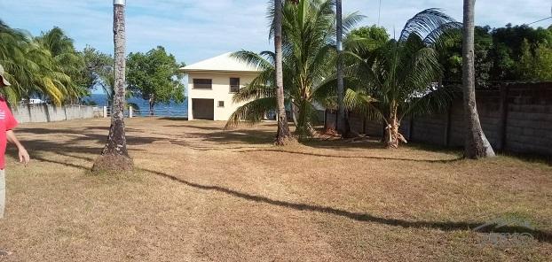 2 bedroom House and Lot for sale in Dauin - image 9