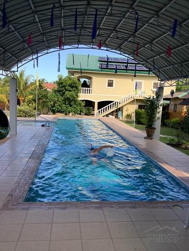 House and Lot for sale in Dumaguete - image 5