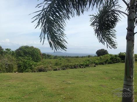 3 bedroom House and Lot for sale in Dumaguete - image 9