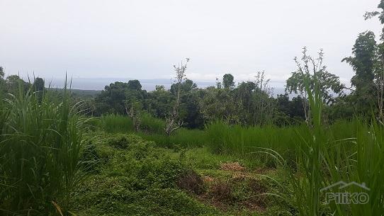Picture of Agricultural Lot for sale in Dumaguete