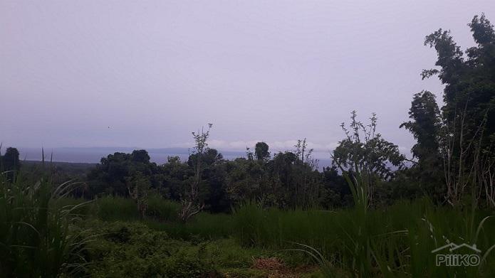 Agricultural Lot for sale in Dumaguete in Negros Oriental