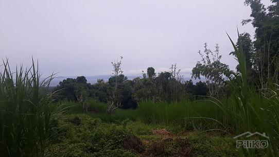 Agricultural Lot for sale in Dumaguete - image 4