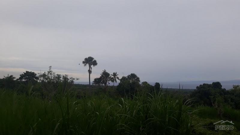Picture of Agricultural Lot for sale in Dumaguete in Negros Oriental
