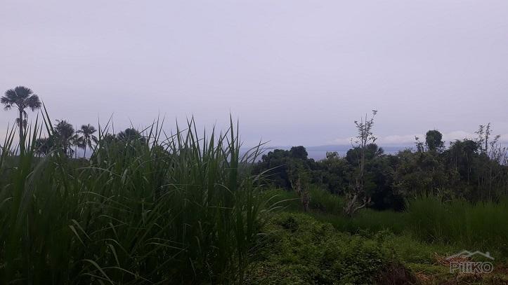 Picture of Agricultural Lot for sale in Dumaguete in Philippines