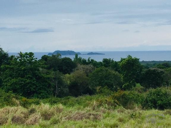 Picture of Agricultural Lot for sale in Dumaguete