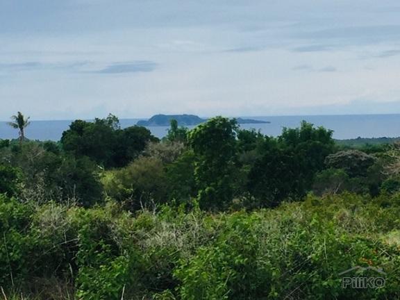 Agricultural Lot for sale in Dumaguete