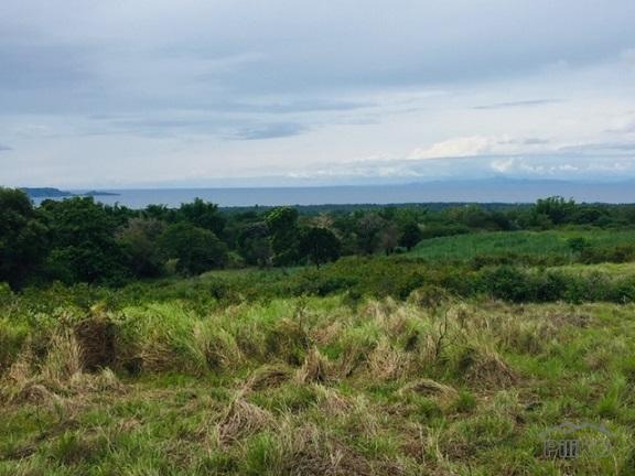 Agricultural Lot for sale in Dumaguete in Philippines