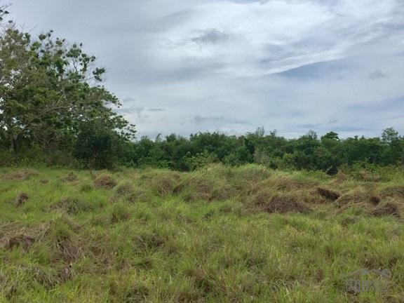 Picture of Agricultural Lot for sale in Dumaguete in Philippines