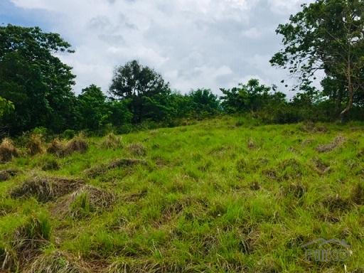 Agricultural Lot for sale in Dumaguete in Philippines - image