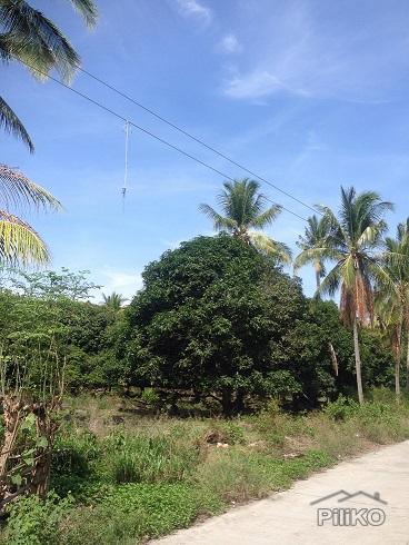 Agricultural Lot for sale in Dumaguete in Philippines