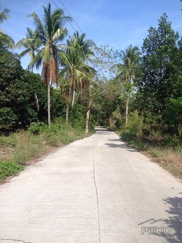 Picture of Agricultural Lot for sale in Dumaguete in Negros Oriental