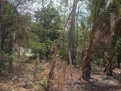 Residential Lot for sale in Dumaguete