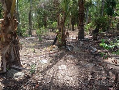 Residential Lot for sale in Dumaguete - image 4