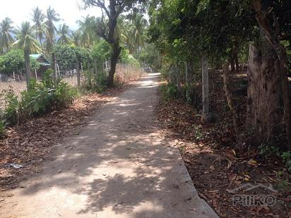 Picture of Residential Lot for sale in Dumaguete in Negros Oriental