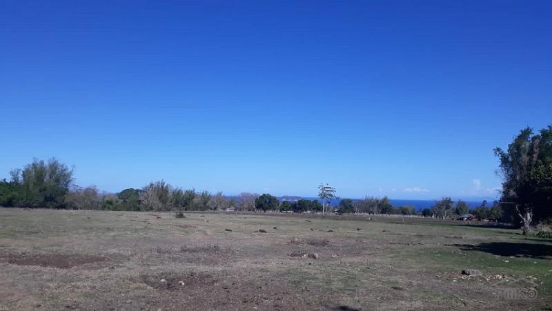 Pictures of Agricultural Lot for sale in Dumaguete