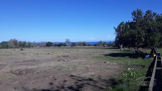 Agricultural Lot for sale in Dumaguete