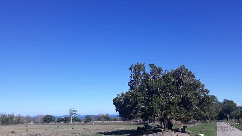 Agricultural Lot for sale in Dumaguete - image 3