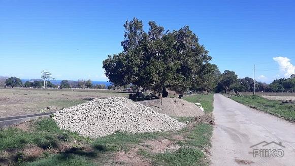 Agricultural Lot for sale in Dumaguete - image 5