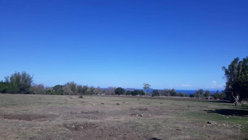 Agricultural Lot for sale in Dumaguete - image 7