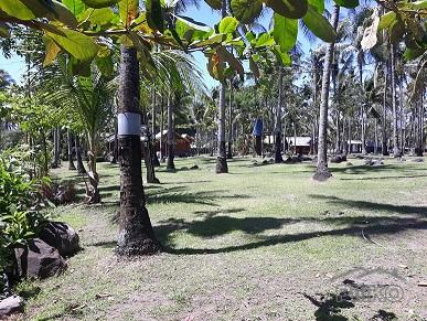 House and Lot for sale in Dumaguete - image 10