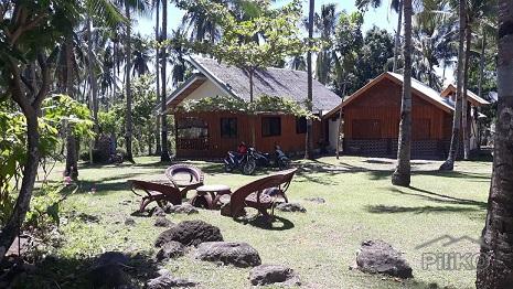 House and Lot for sale in Dumaguete - image 11