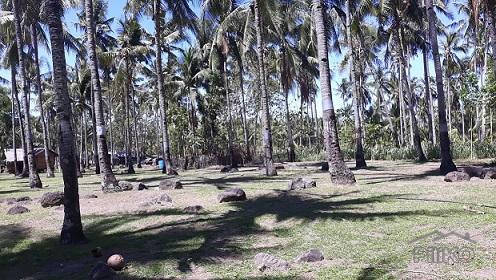 House and Lot for sale in Dumaguete - image 12