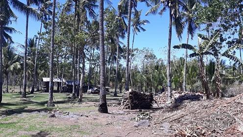 House and Lot for sale in Dumaguete - image 5