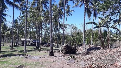 House and Lot for sale in Dumaguete - image 6