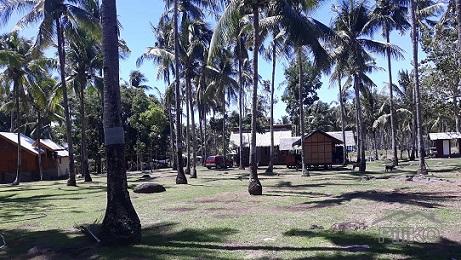 House and Lot for sale in Dumaguete - image 7