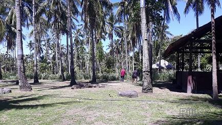 House and Lot for sale in Dumaguete - image 9