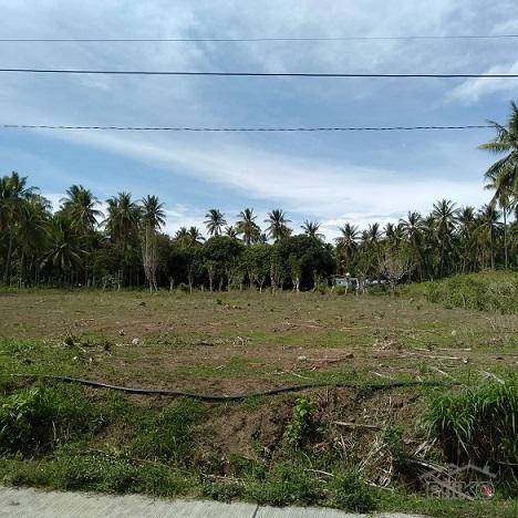 Picture of Other lots for sale in Dumaguete
