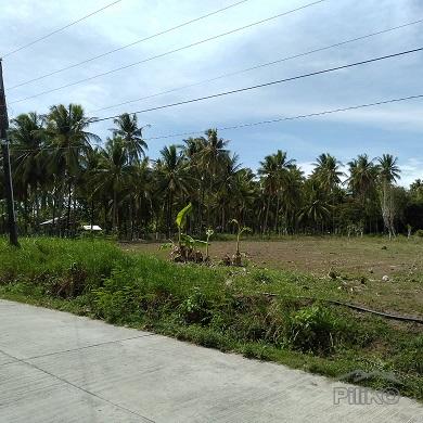Other lots for sale in Dumaguete