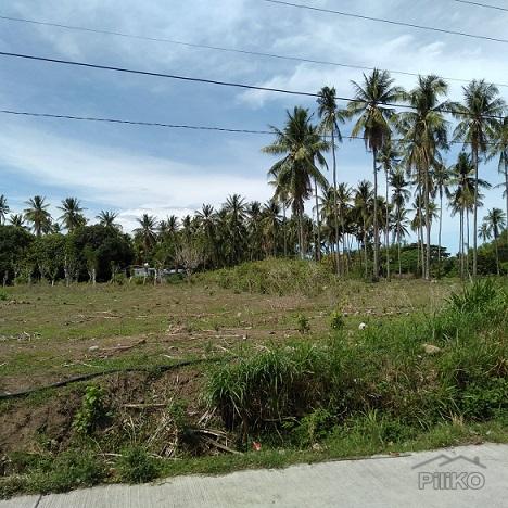 Other lots for sale in Dumaguete - image 3