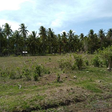 Other lots for sale in Dumaguete in Philippines