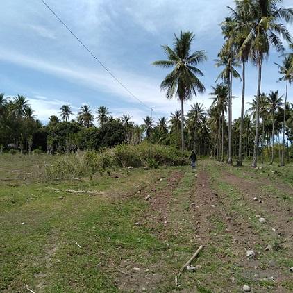 Picture of Other lots for sale in Dumaguete in Negros Oriental