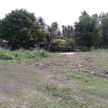 Other lots for sale in Dumaguete - image 6