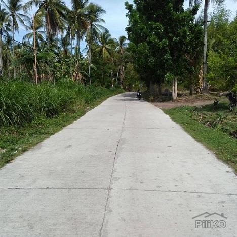 Other lots for sale in Dumaguete in Negros Oriental - image