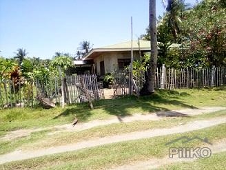 House and Lot for sale in Dumaguete in Philippines