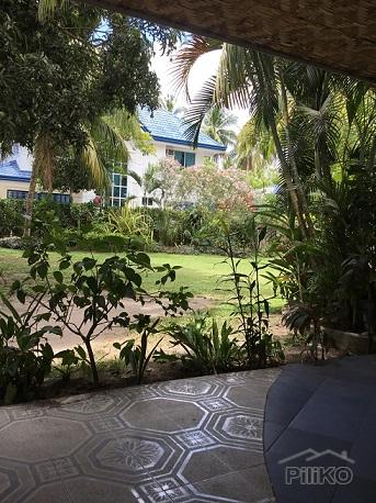 Apartment for sale in Dumaguete in Philippines - image