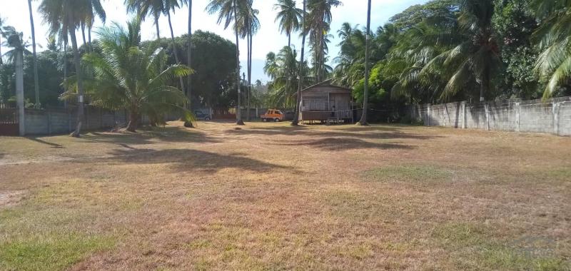 2 bedroom House and Lot for sale in Dumaguete - image 4