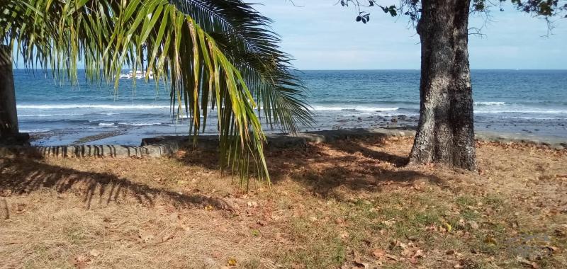 2 bedroom House and Lot for sale in Dumaguete - image 6