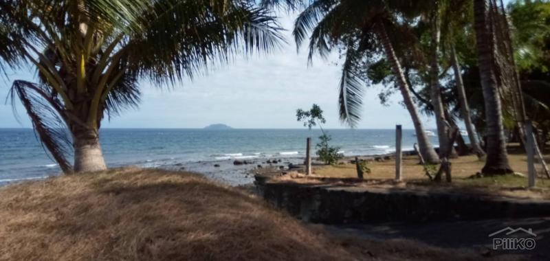 2 bedroom House and Lot for sale in Dumaguete - image 7