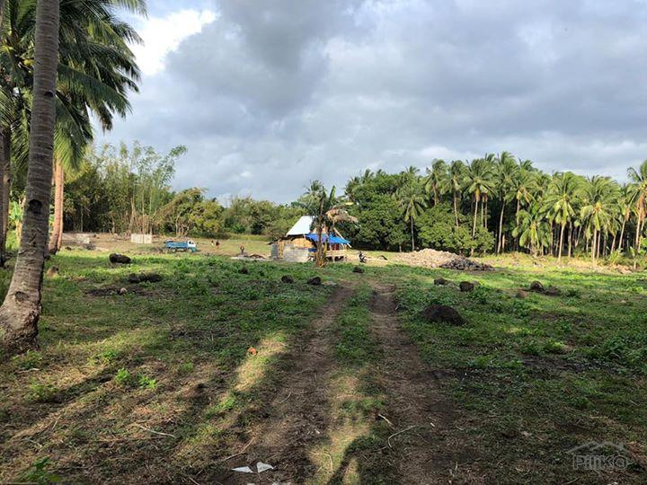 Residential Lot for sale in Dumaguete