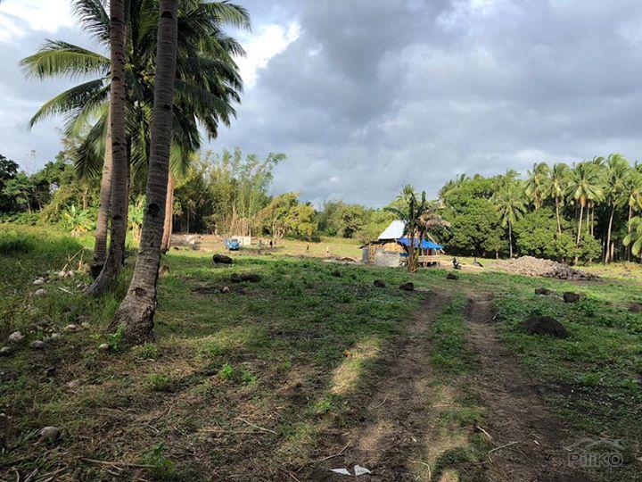 Residential Lot for sale in Dumaguete in Negros Oriental