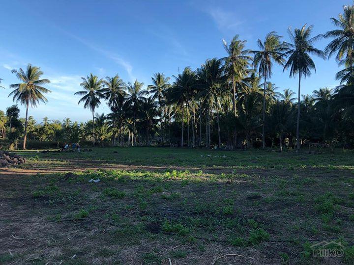 Residential Lot for sale in Dumaguete in Philippines