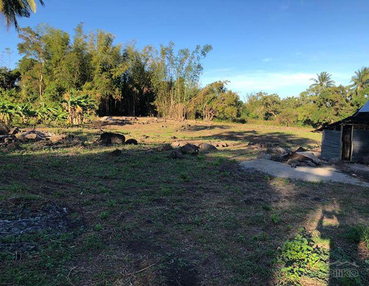 Picture of Residential Lot for sale in Dumaguete in Negros Oriental