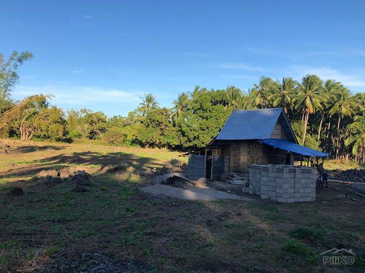 Picture of Residential Lot for sale in Dumaguete in Philippines