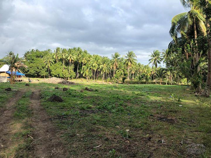Residential Lot for sale in Dumaguete in Negros Oriental - image