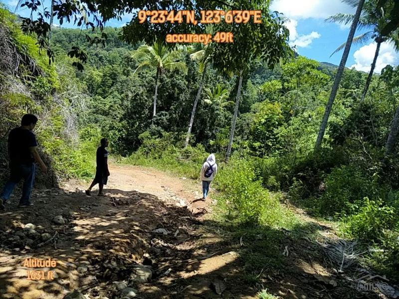 Agricultural Lot for sale in Dumaguete in Philippines