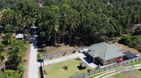 4 bedroom House and Lot for sale in Dumaguete in Philippines